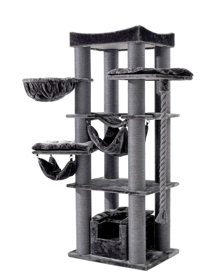 Nobby Kratzbaum Rubi